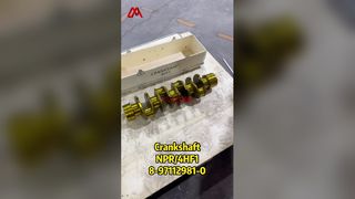 8-97112981-0 Cigüeñal 8971129810 Adecuado para ISUZU NKR NPR 4HG1 4HF1