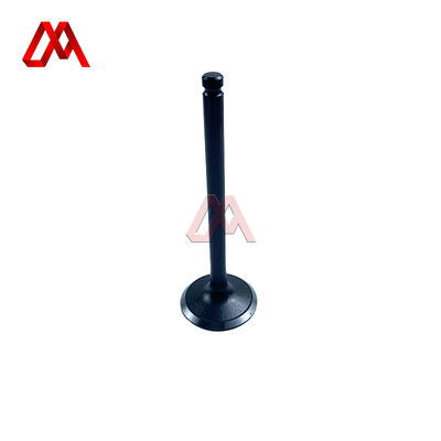 8-94029351-0 8940293510 Engine Valve for ISUZU